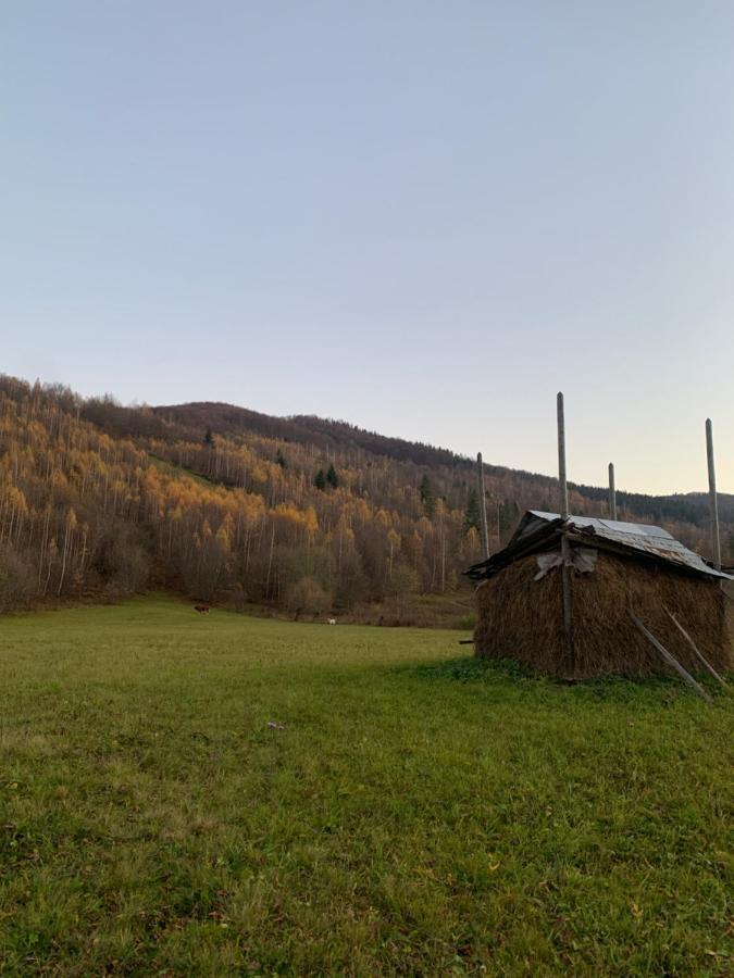 Made In Country house *